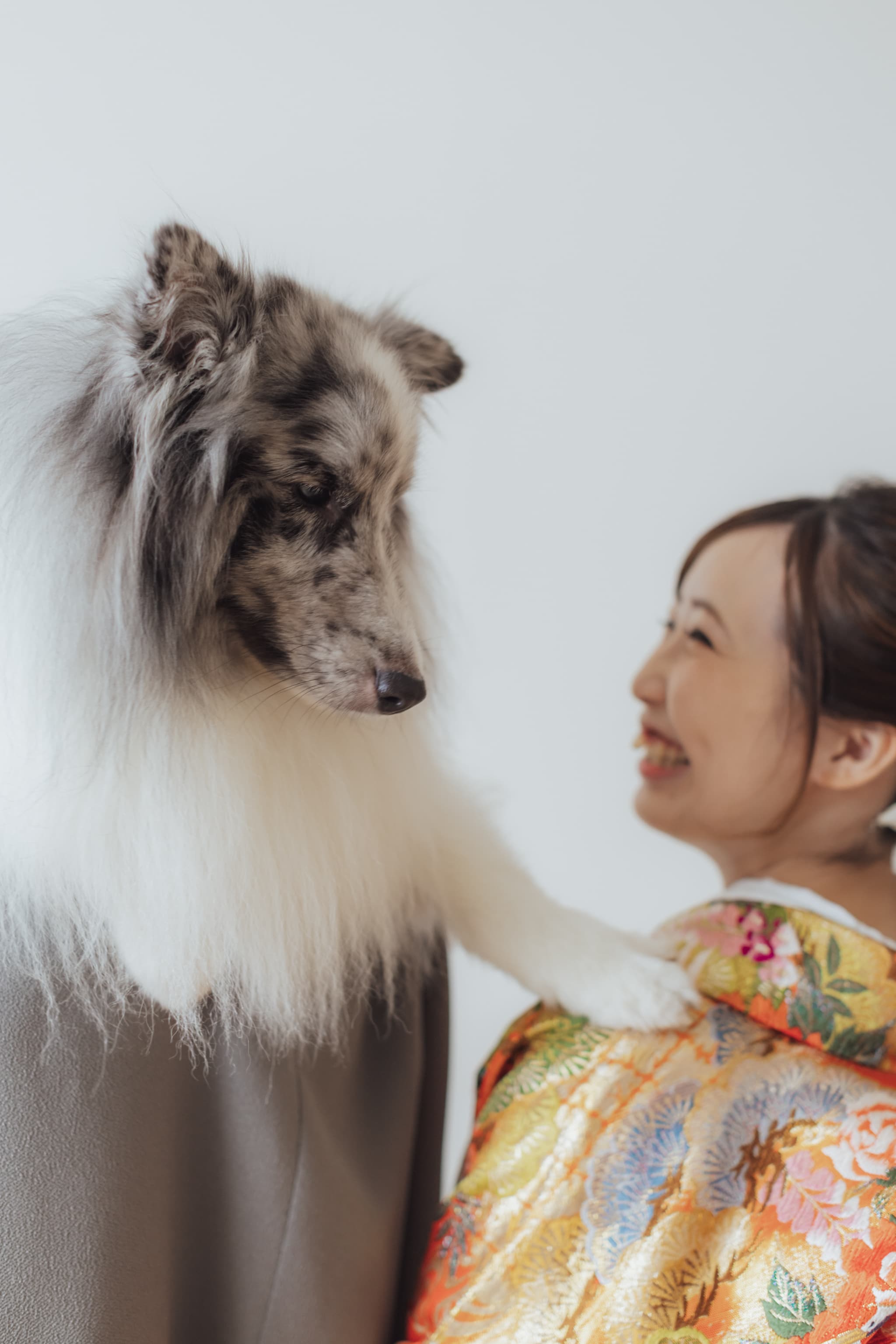 愛犬も主役！の和装フォトウェディング